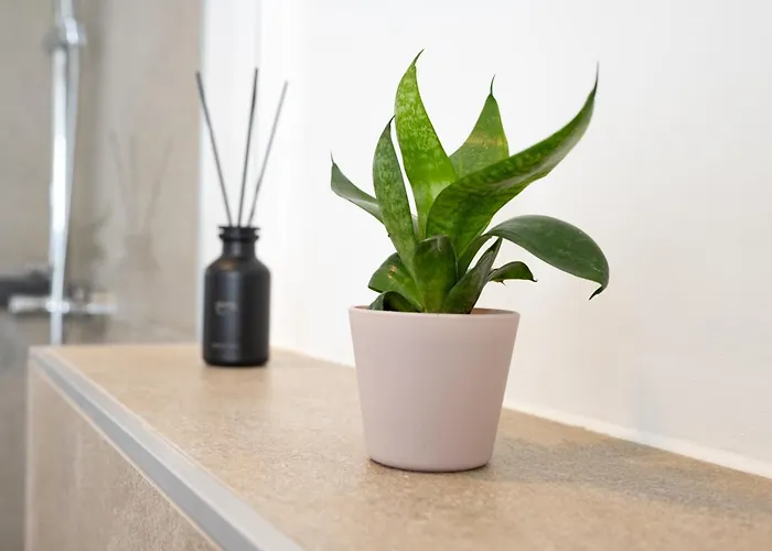 Lux Apts Deluxe Apartment-zentral-messe-kueche *