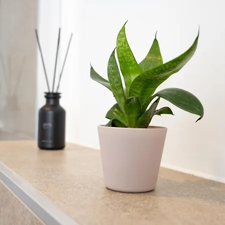 Lux Apts Deluxe Apartment-zentral-messe-kueche *